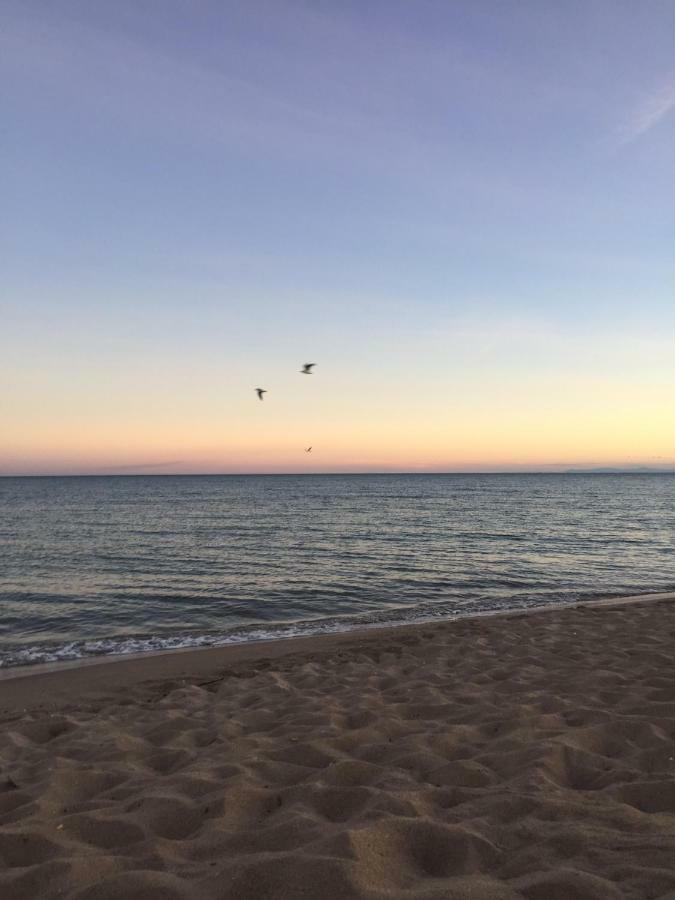 Jm Vacances Serignan Ngoại thất bức ảnh